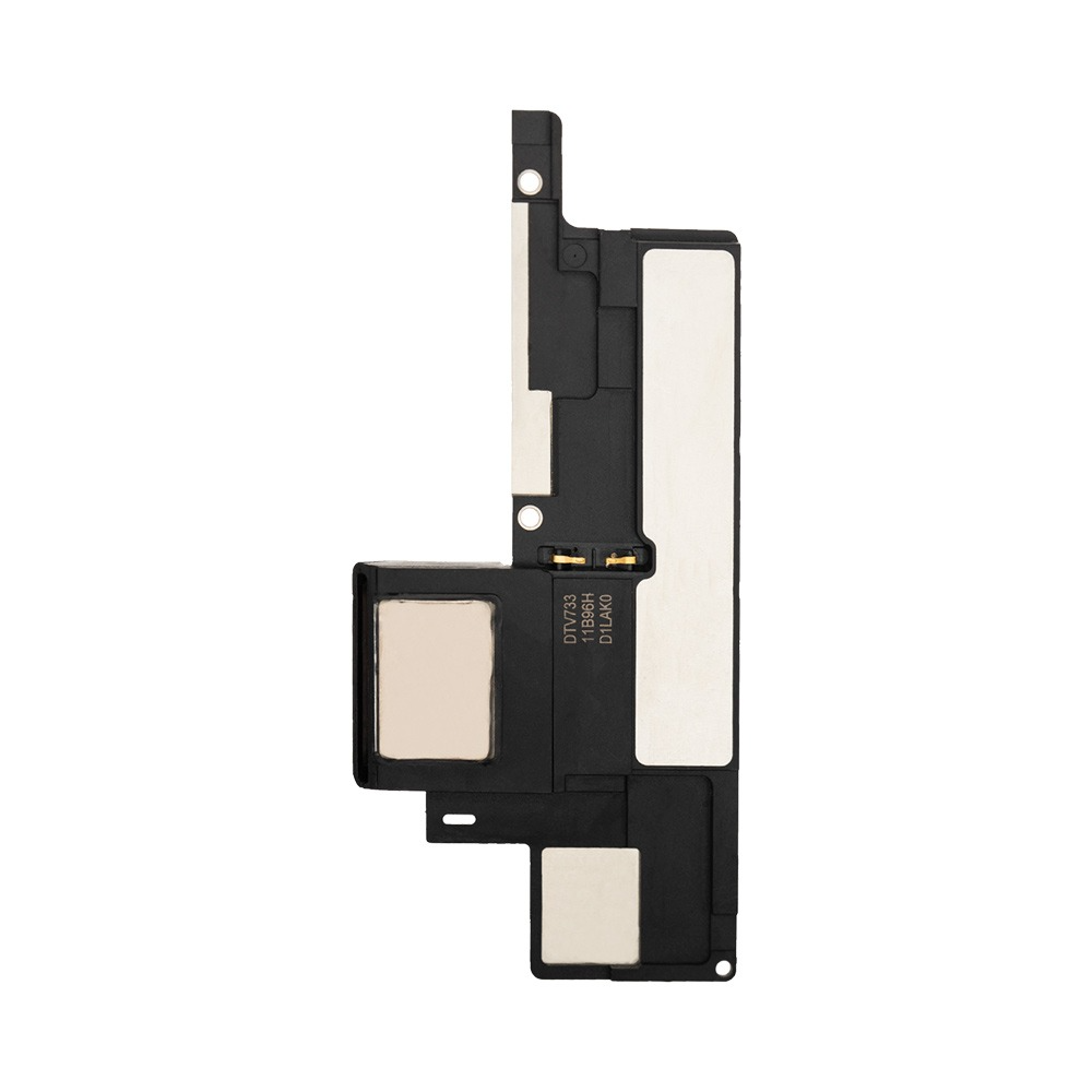 Haut-parleur iPad Pro 10.5" (1e génération) – Compatible