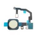 Lecteur d'empreinte Pixel 5 – Vert – Compatible Premium