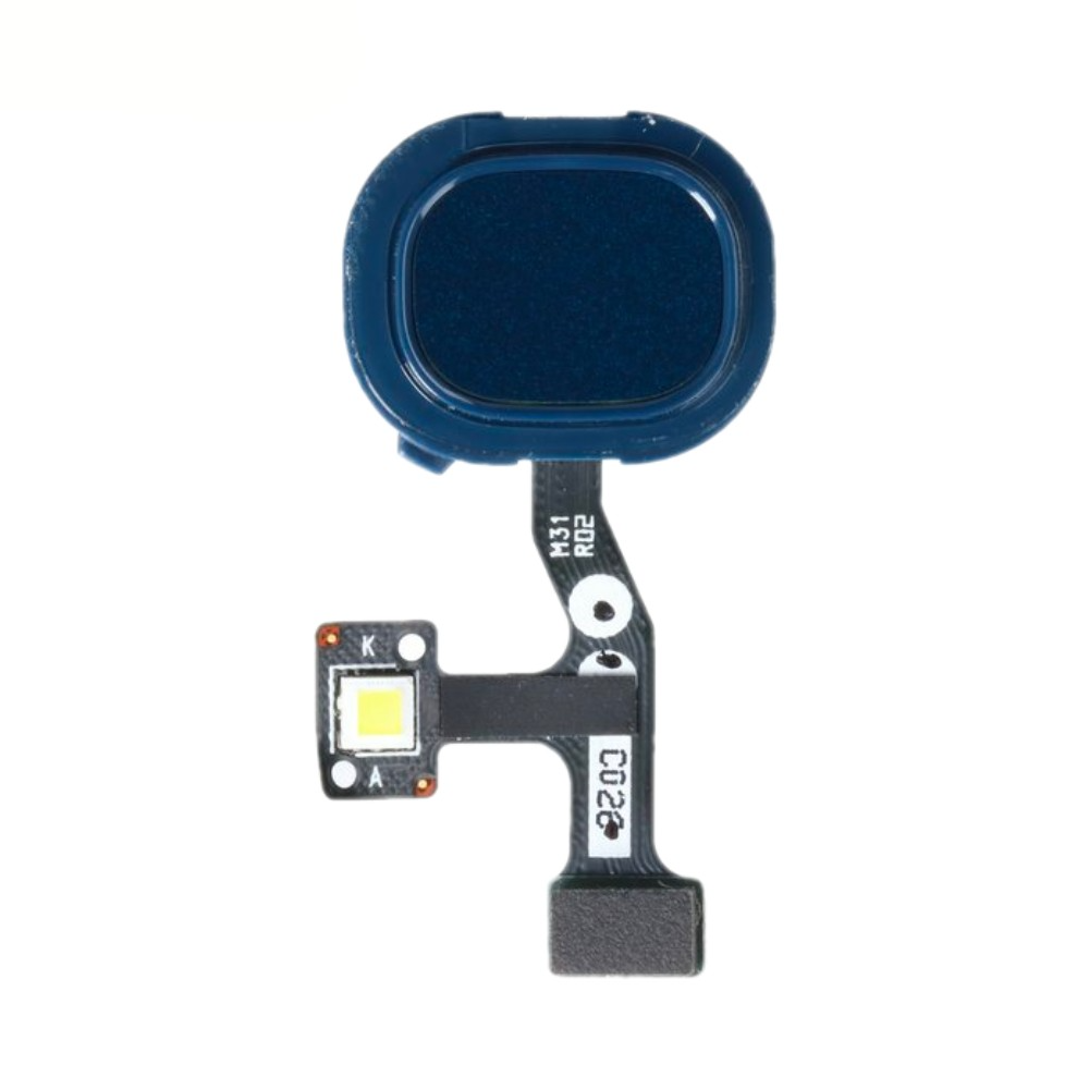 Lecteur d'empreinte Galaxy M31 – Bleu – Compatible Premium