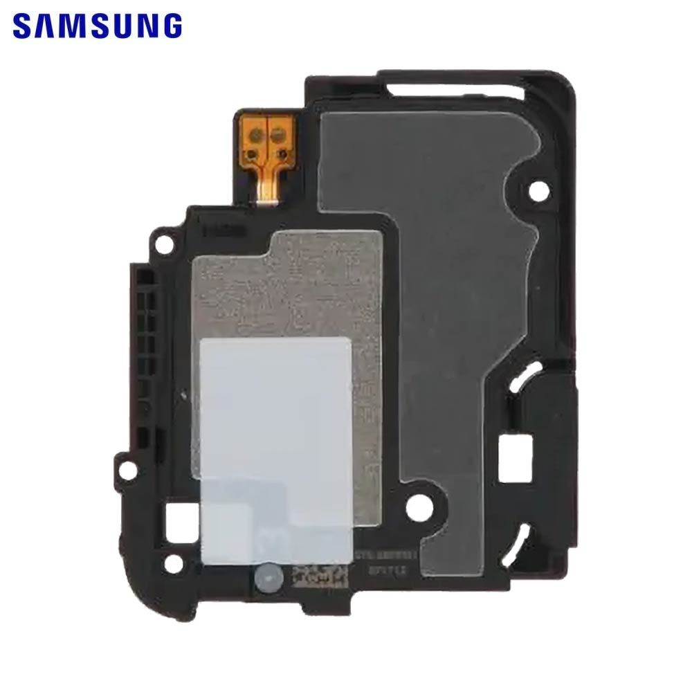 Haut-parleur Galaxy Tab S9 5G Bas à Droite – Original Samsung (Service Pack)