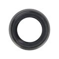 Lentille caméra arrière iPhone 6S – Noir
