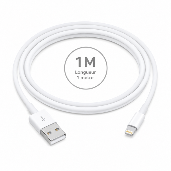Câble USB-A vers Lightning 1 m