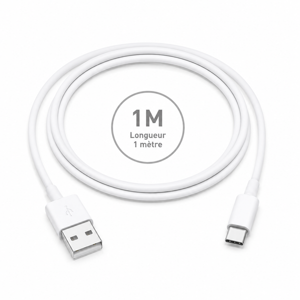 Câble USB-A vers USB-C 1 m